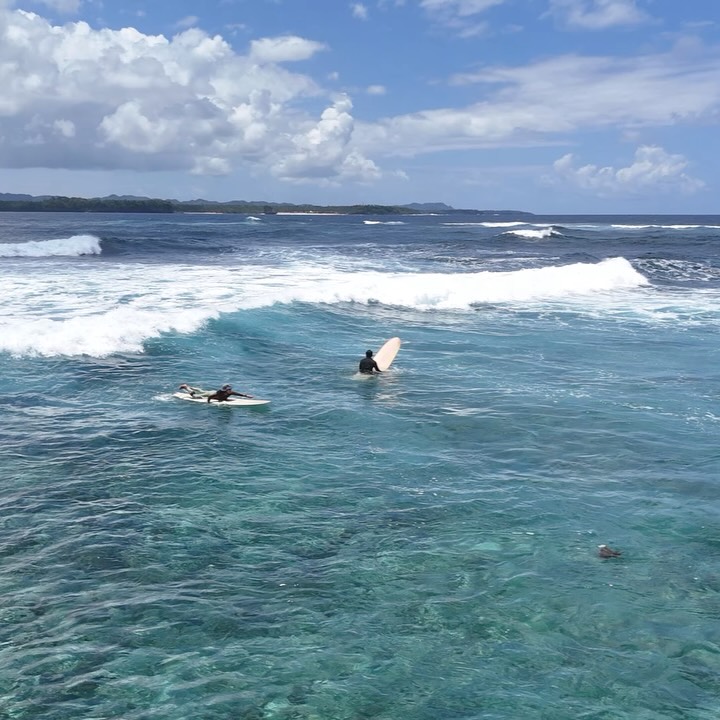 Surfers catching a wave
